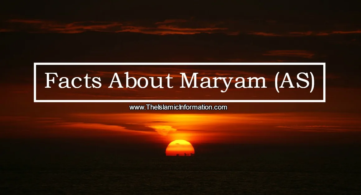 Facts About Maryam AS