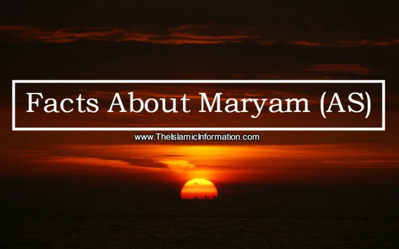 Facts About Maryam AS