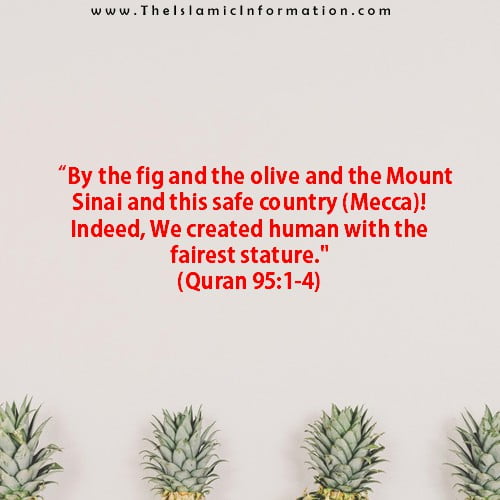 Quran about figs