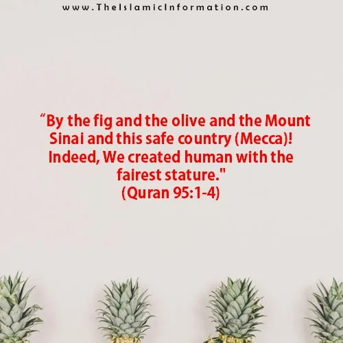 Quran about figs