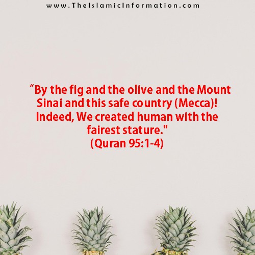 6 Fruits According To Quran And Sunnah That Every One Should Eat