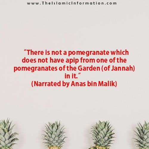 Sunnah about POMEGRANATES