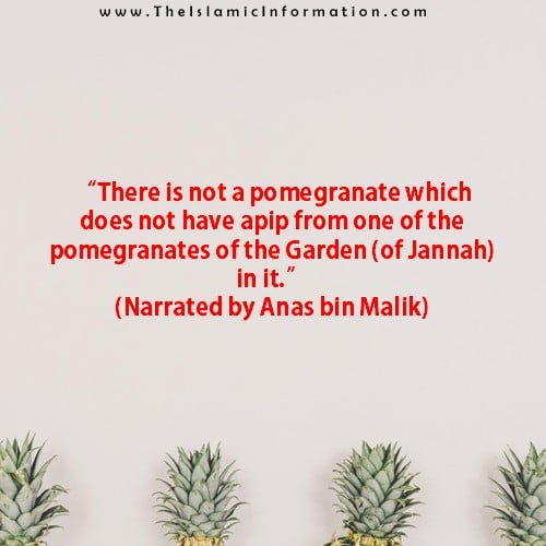 Sunnah about POMEGRANATES