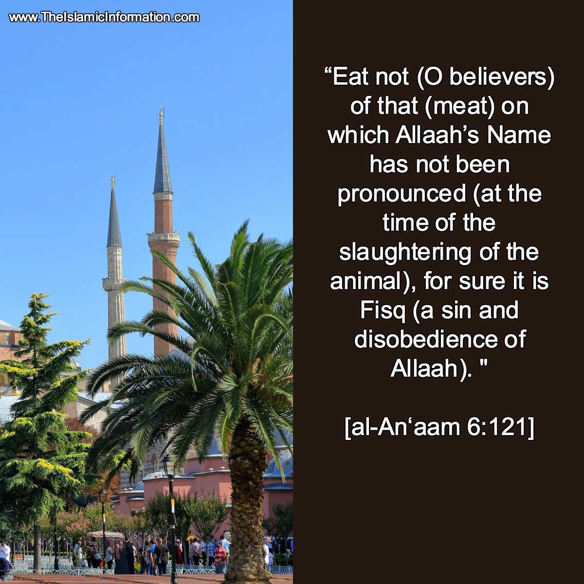 animal slaughter quran