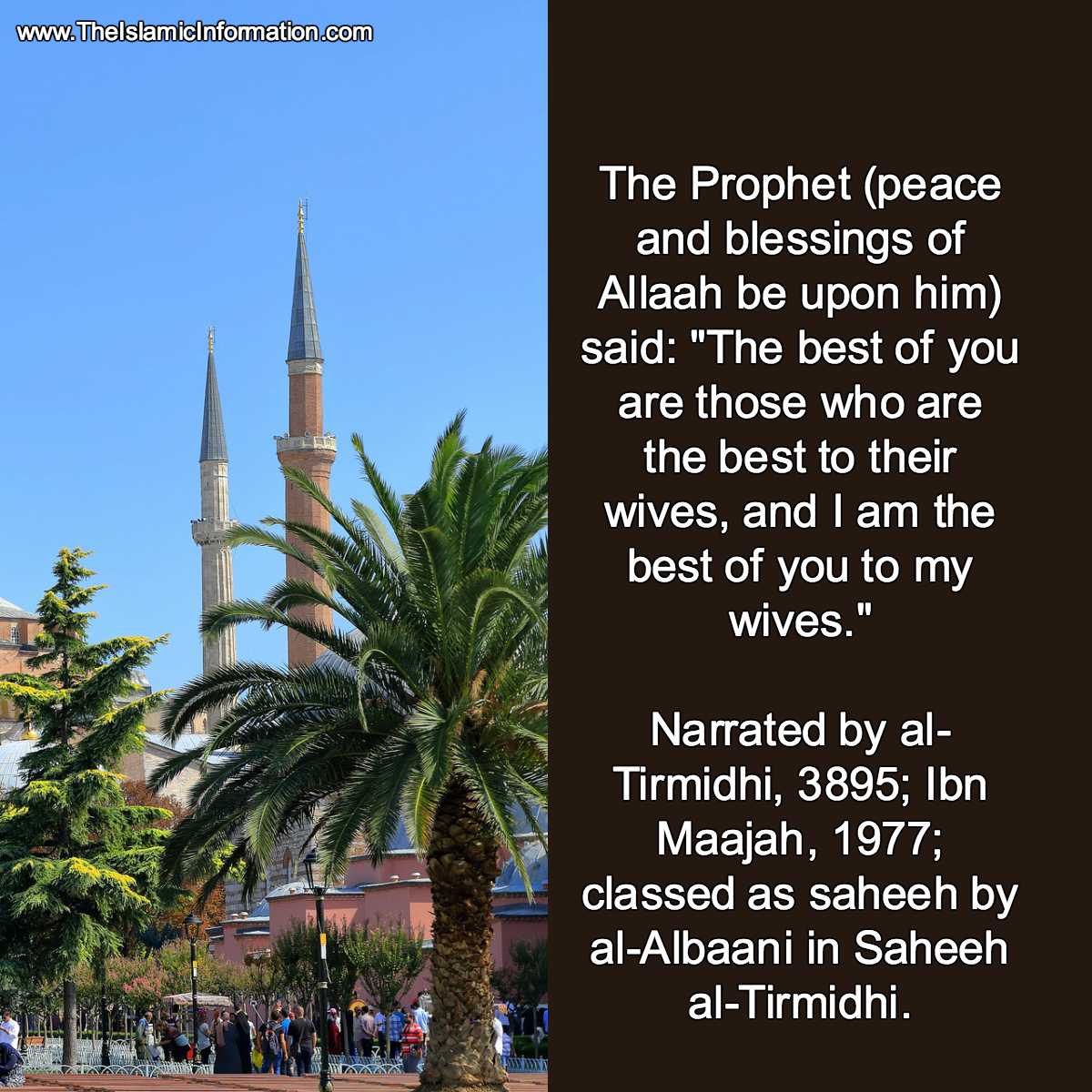 forcing wife hadith