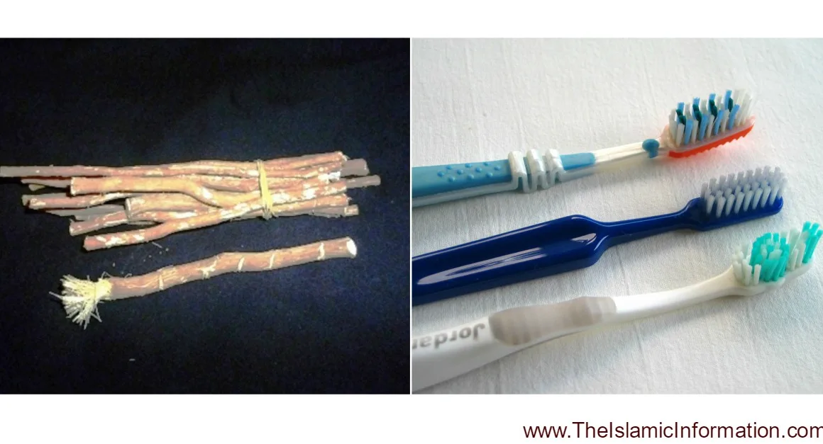 miswak natural toothbrush