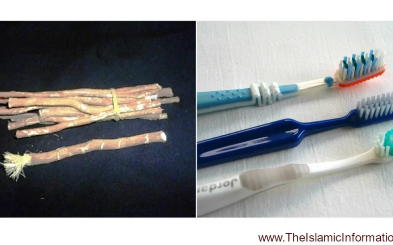 miswak natural toothbrush