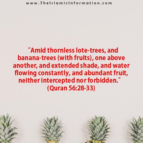 6 Fruits According To Quran And Sunnah That Every One Should Eat