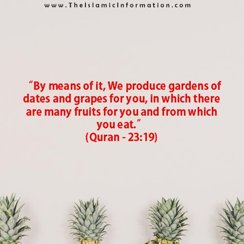 quran about grapes