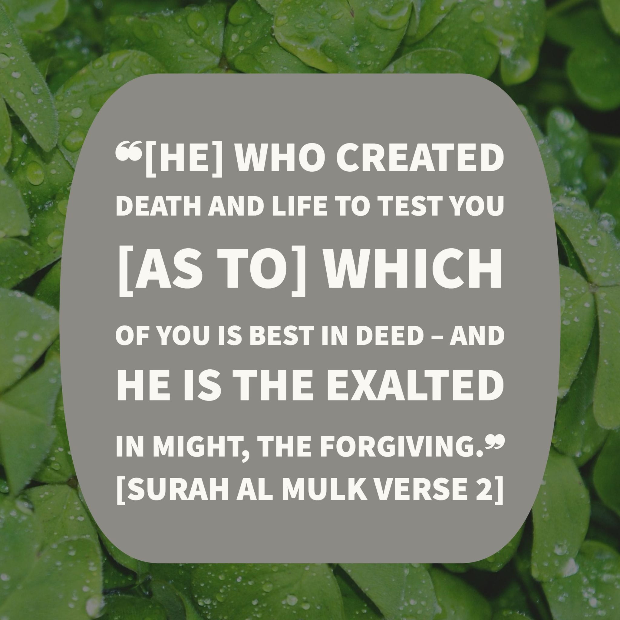 surah mulk verse 2 english translation