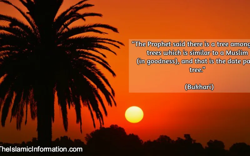 why reason prophet pbuh love dates 1
