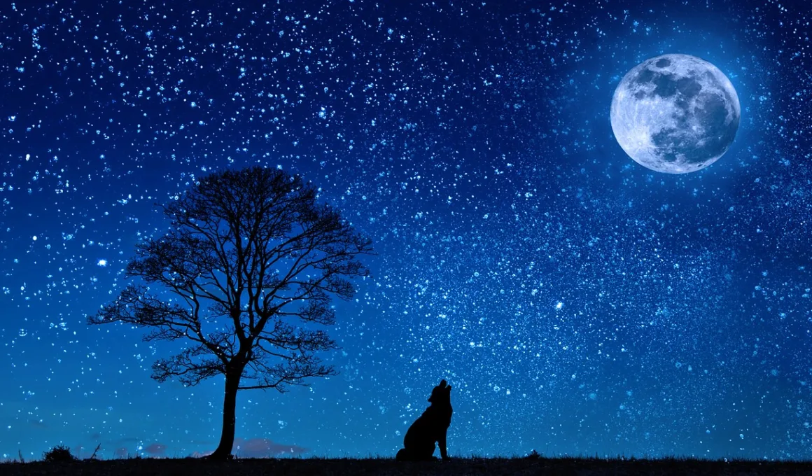 Major Signs Of Laylatul Qadr According to Prophet Muhammad PBUH