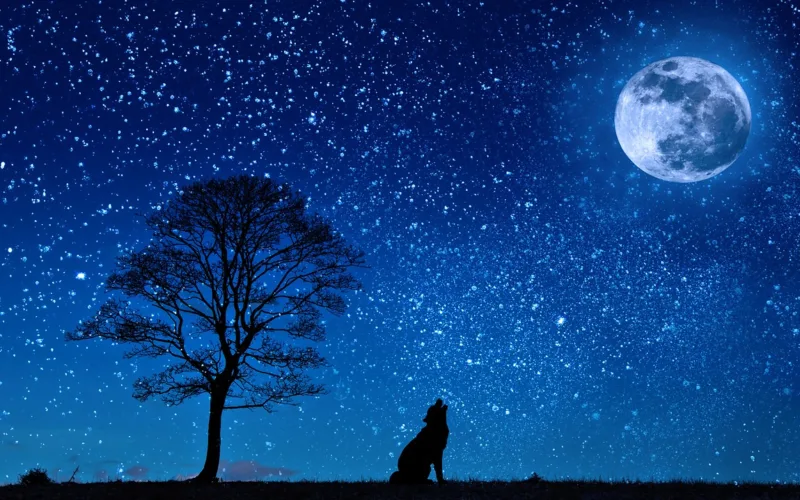 Major Signs Of Laylatul Qadr According to Prophet Muhammad PBUH