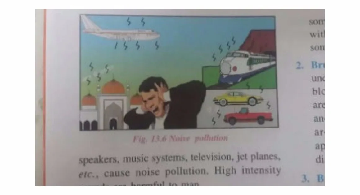 Indian Course Book Portrays Mosque As A Sign Of Noise Pollution