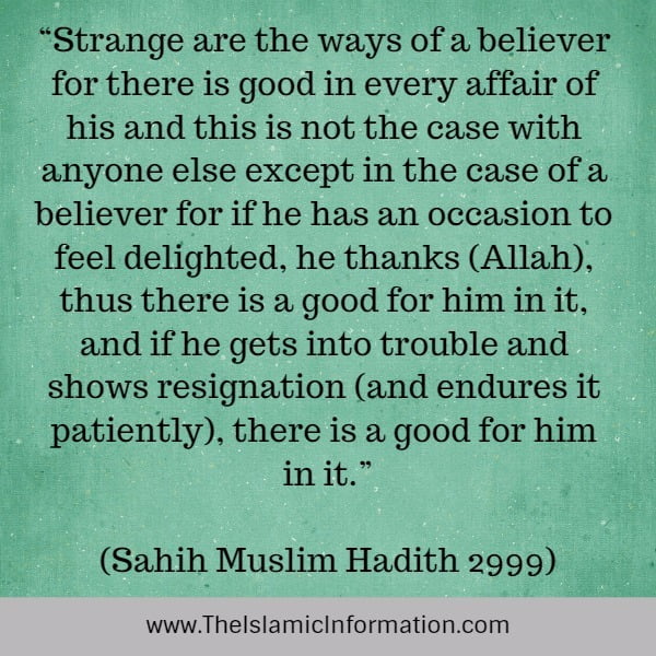 SEE GOODNESS IN EVERYTHING hadith