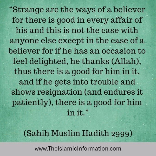 SEE GOODNESS IN EVERYTHING hadith