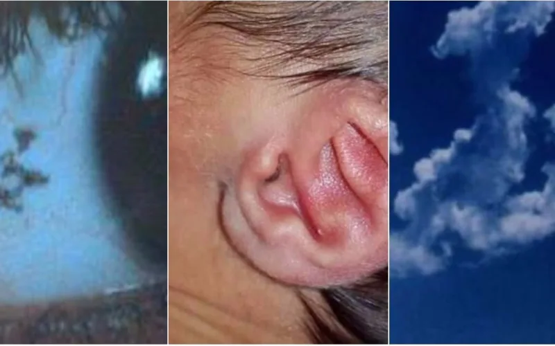 Top 10 Miracles Of Allah All Around The World