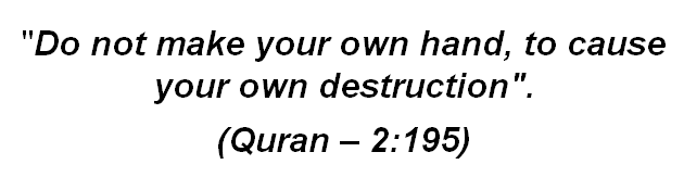 Quran 2 195