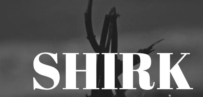 Acts Of Shirk You Do Not Realise You Are Committing e1520158468220