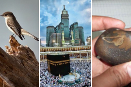How Ababeel Protected Kaaba When It Was Attacked Surah Al Fil