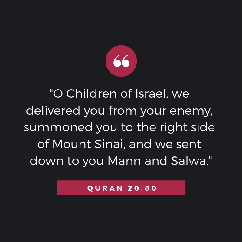 Quran MAN O SALWA BANI ISRAEL