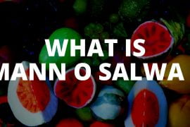 What is Mann o Salwa   And What Does Mann and Salwa Include