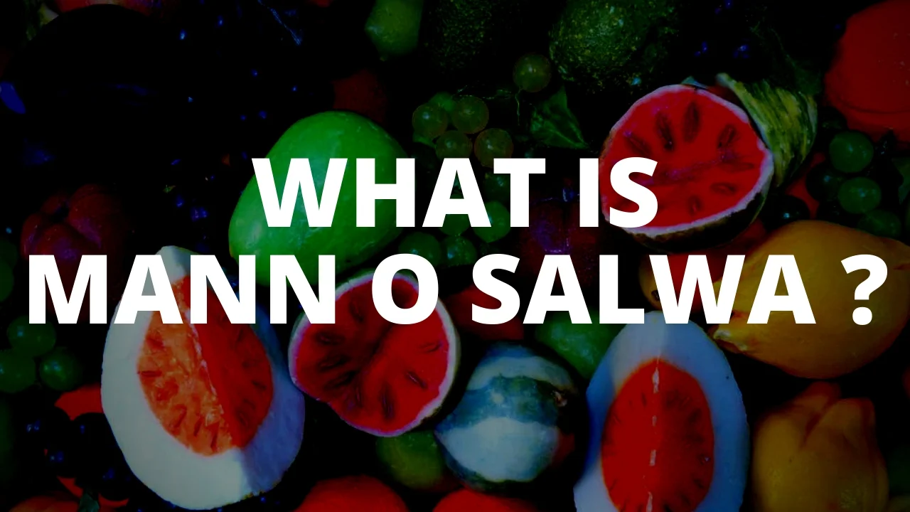 What is Mann o Salwa And What Does Mann and Salwa Include