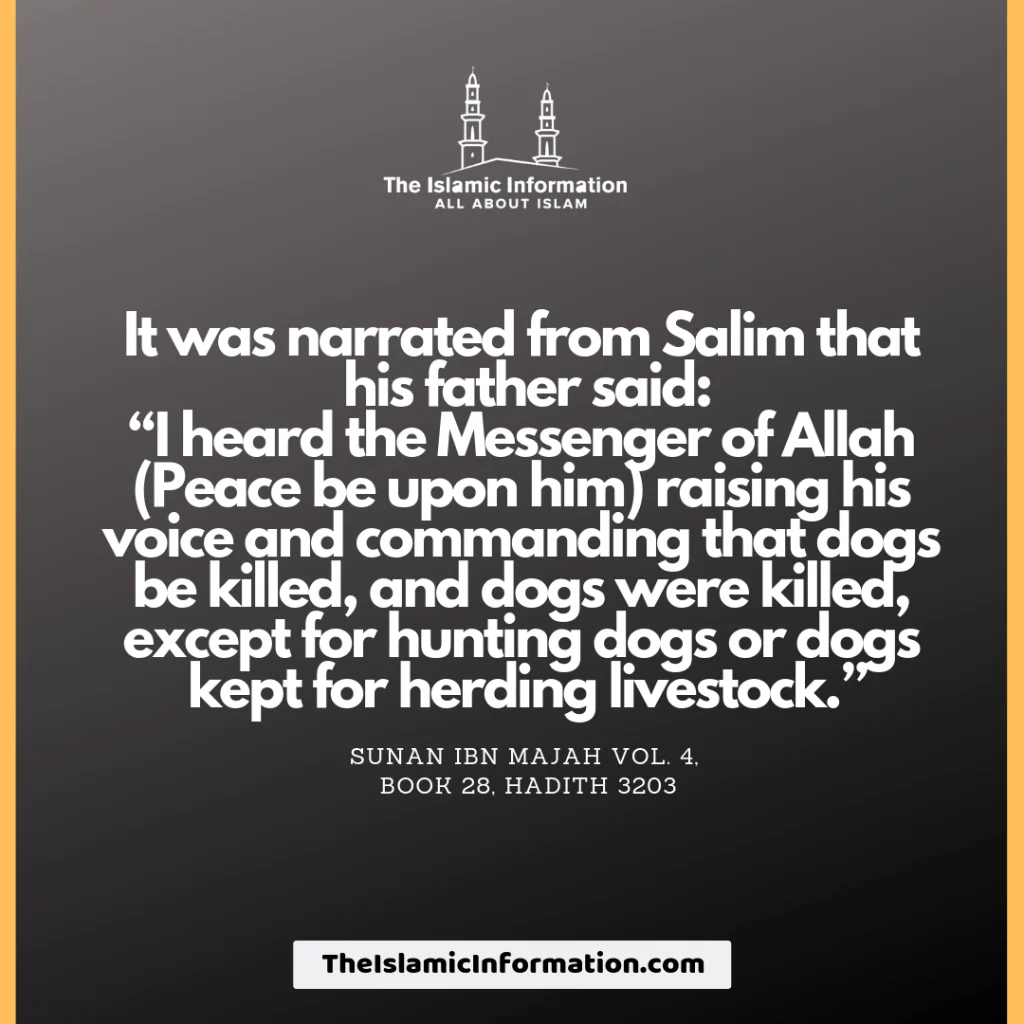 can you have a dog in islam