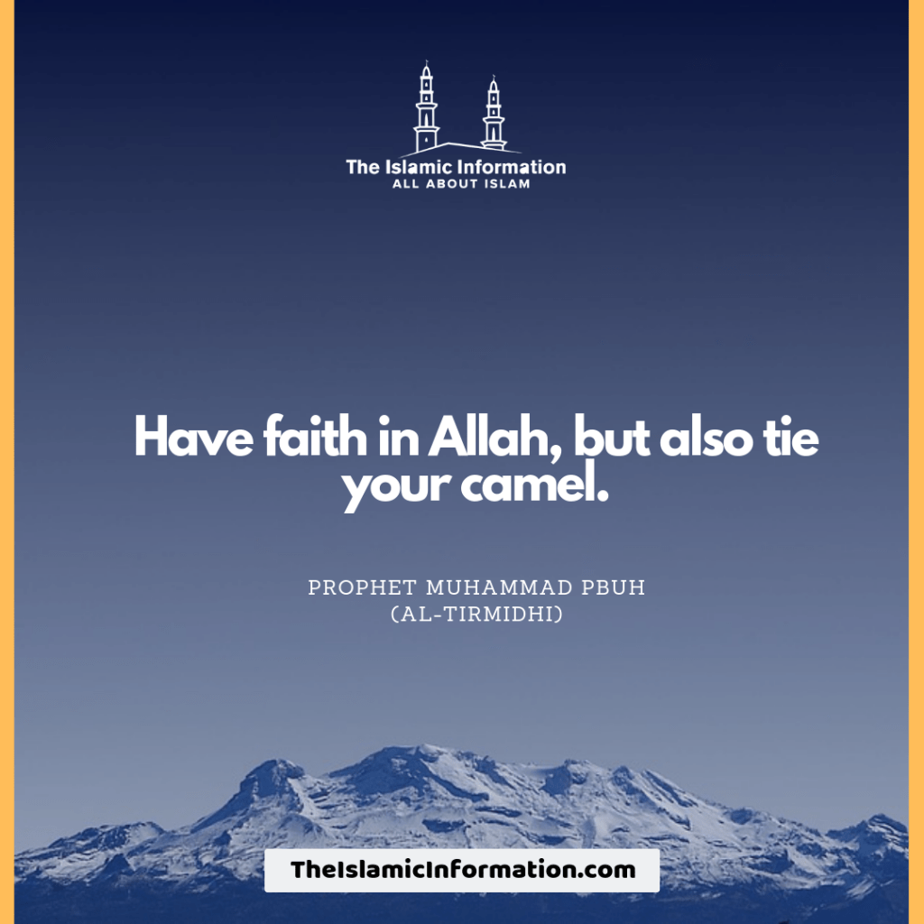 Have faith in Allah, but also tie your camel.