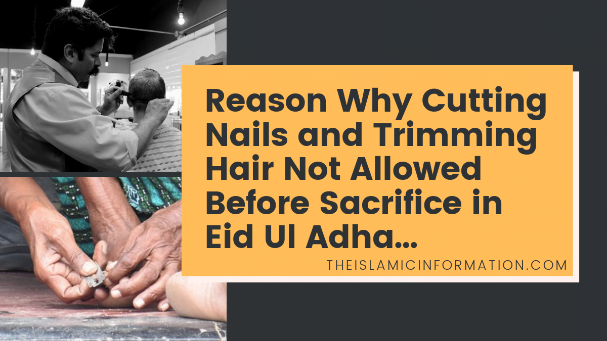 Cutting Nails And Trimming Hair Before Eid Ul Adha Dhu Hijjah