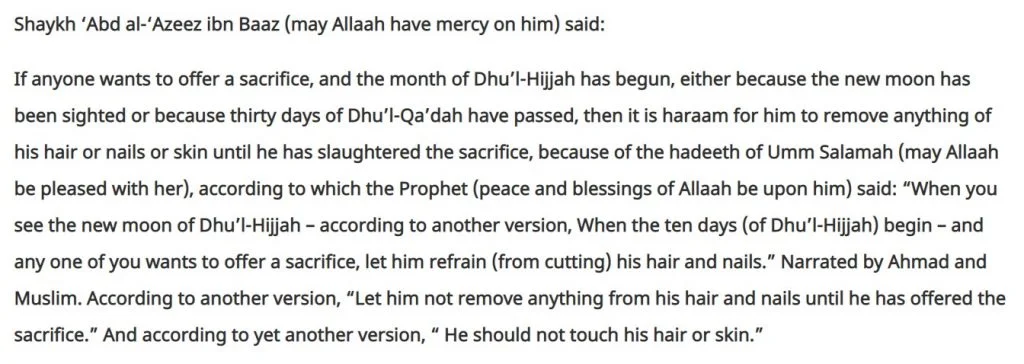 Is It Sunnah to Cut Nails on Friday? Read This! - Guidelines Islamic Law