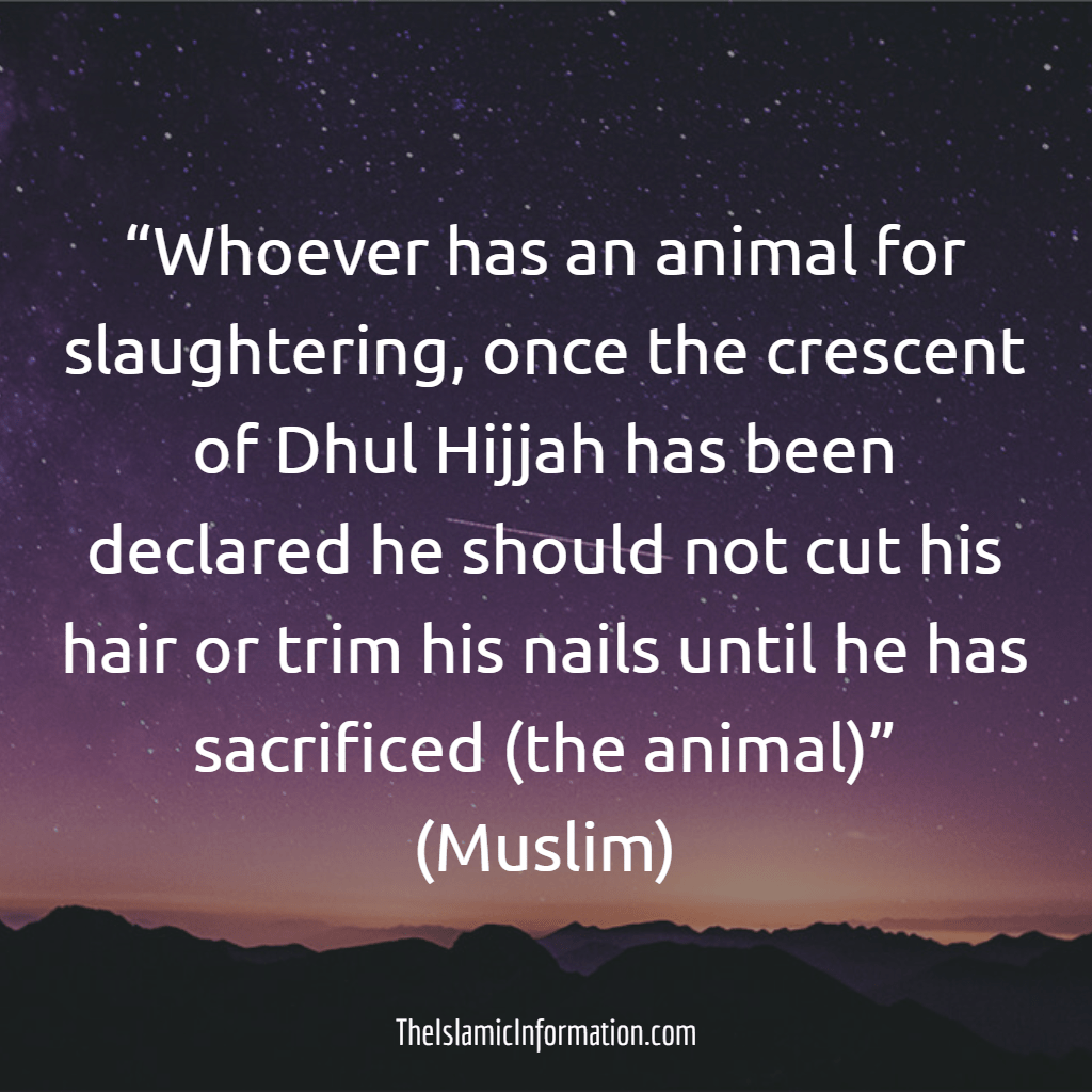 Hadith On Not Cutting Hair And Nails Dhu Hijjah