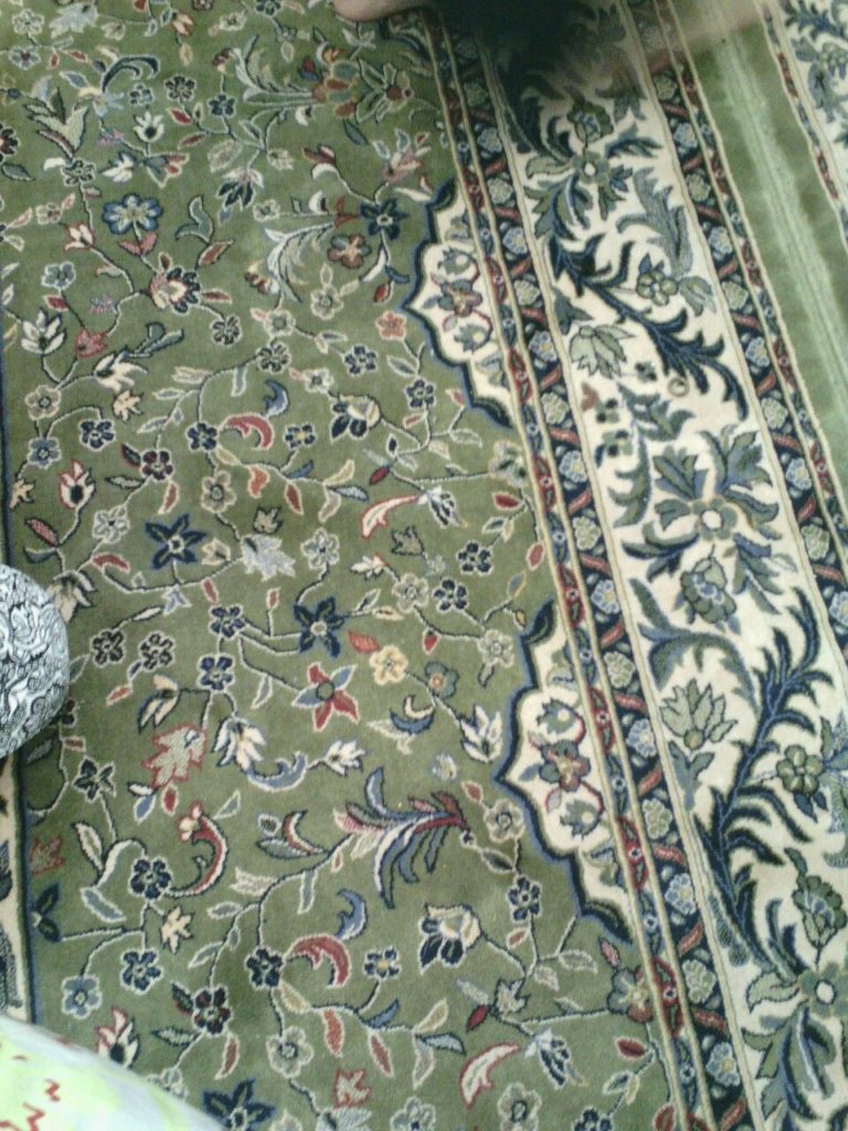 Raiz Ul Jannah Green Carpet Masjid An Nabawi