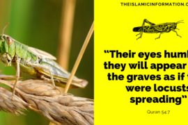 The Link Between Locusts And Resurrection Day From Quran