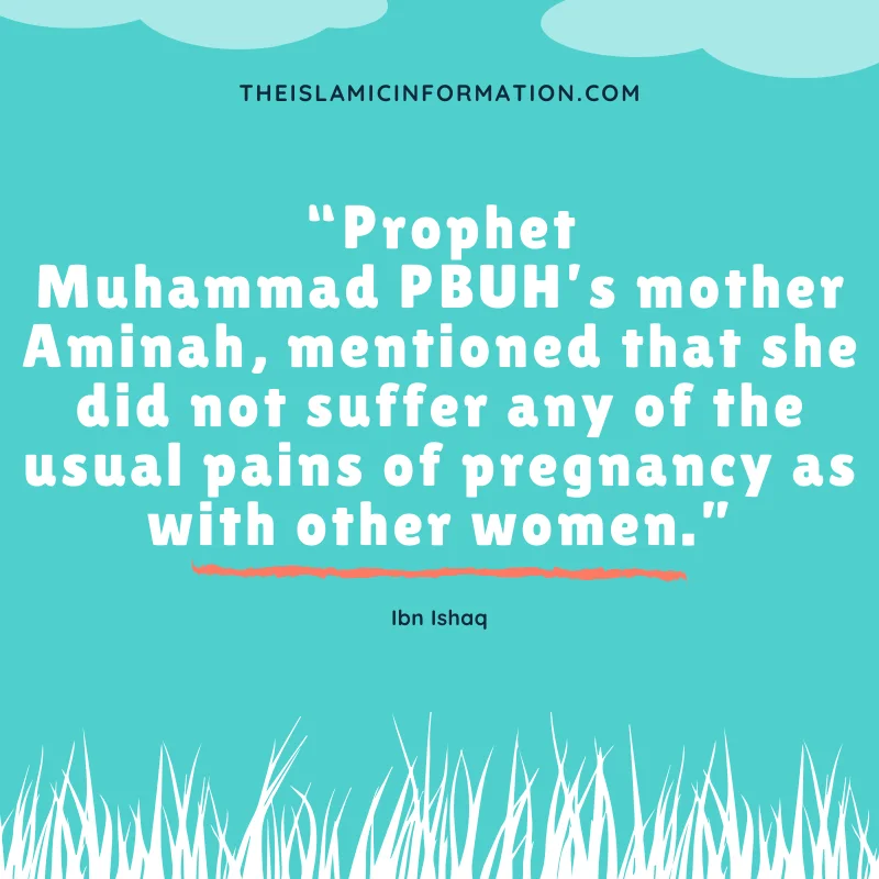 Prophet Birth Pregnancy Hadith