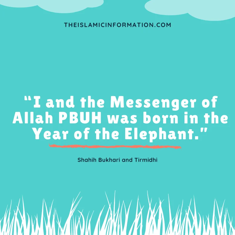 Prophet Muhammad Pbuh Born Elephant Year