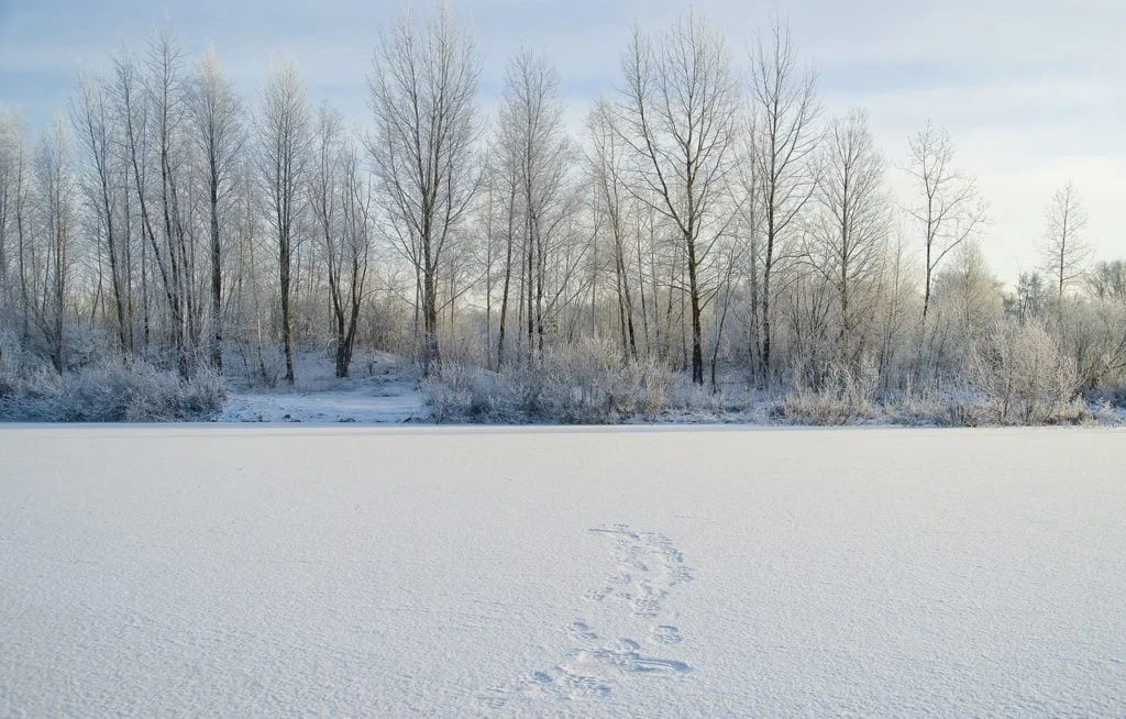 Siberië sneeuw