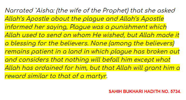 SAHIH BUKHARI HADITH NO 5734