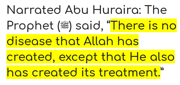 every disease has a cure Islam hadith