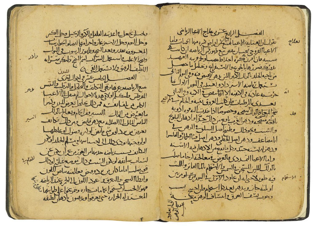 ibn sina avicenna writing original book