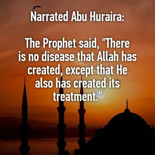 Il n'y a pas de maladie qu'Allah a créée sauf qu'Il a également créé son traitement