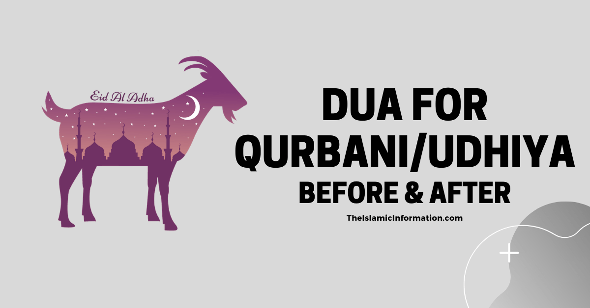 Dua for Qurbani Udhiya