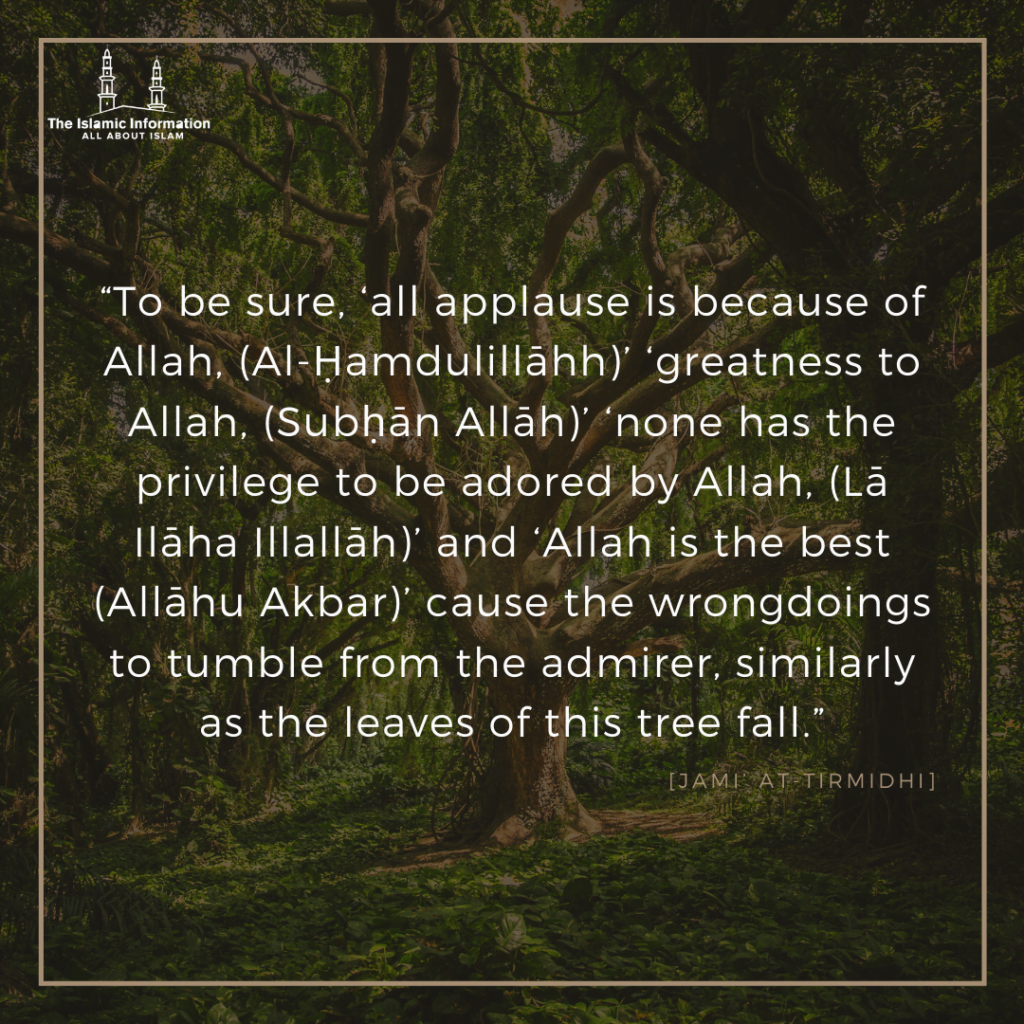 HADITH ON SubhanAllah walhamdulillah wala ilaha illAllah wallahu akbar daily azkar