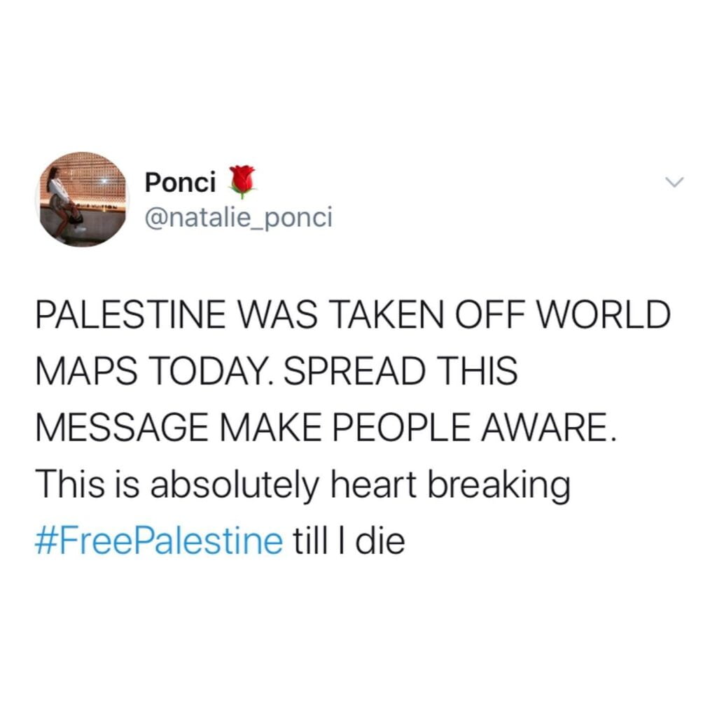 Palestine removed Google map 3