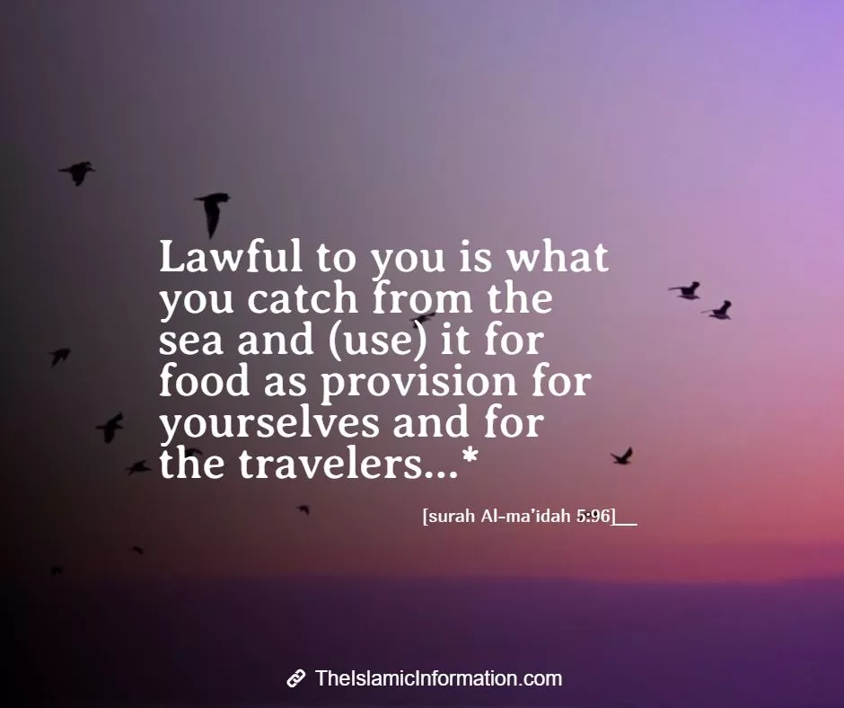 list-of-halal-seafood-and-haram-seafood-according-to-islam