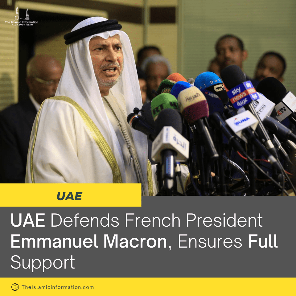 UAE Supports France Despite Tensions Over Cartoons 2 UAE supports France