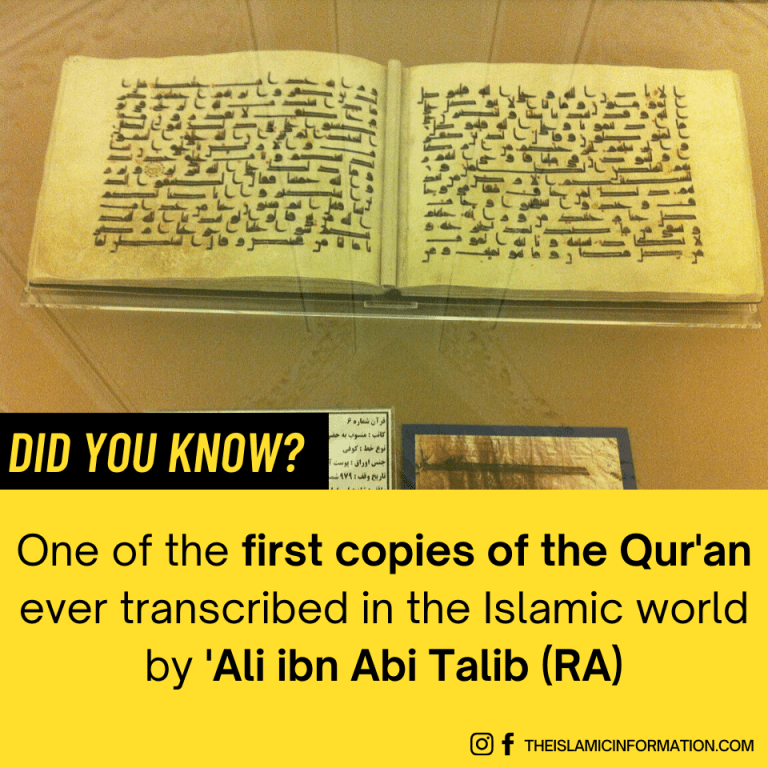 Who is Ali (RA)? Facts, Life, and Events Of Ali Ibn Abi Talib (RA)