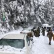 Murree pakistan snowstorm