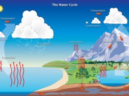 The Cycle Of The Water In Quran Verses