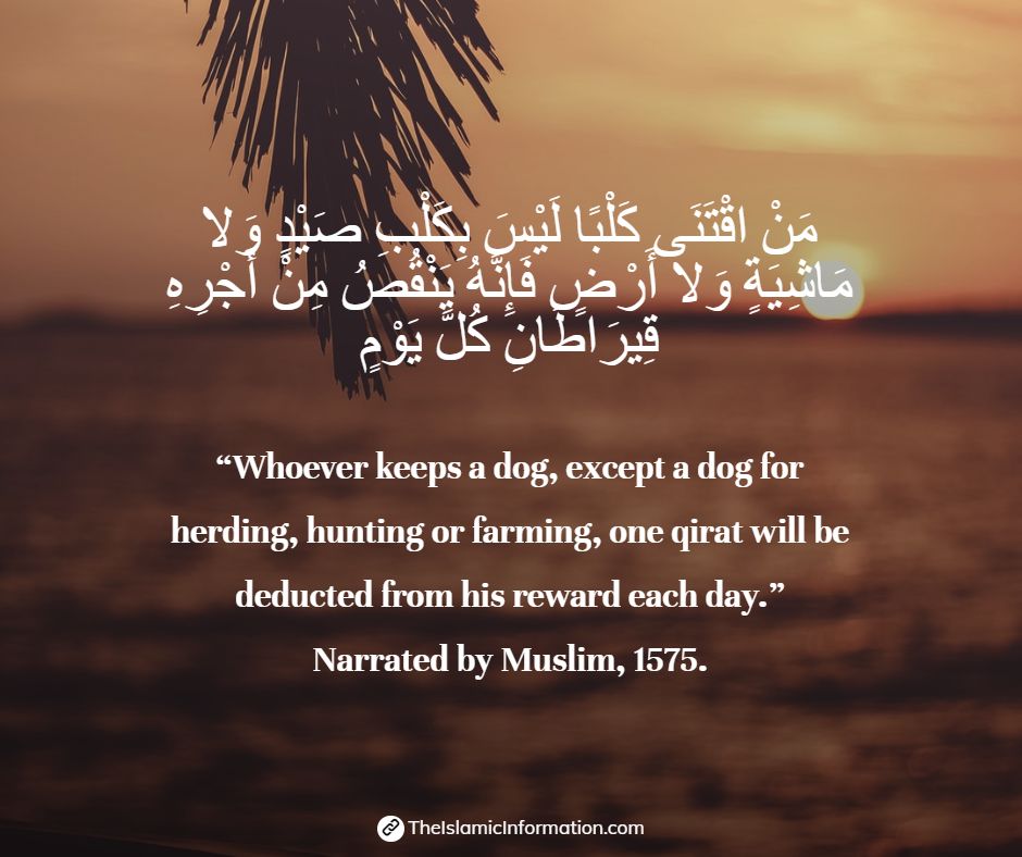 hadith about dogs